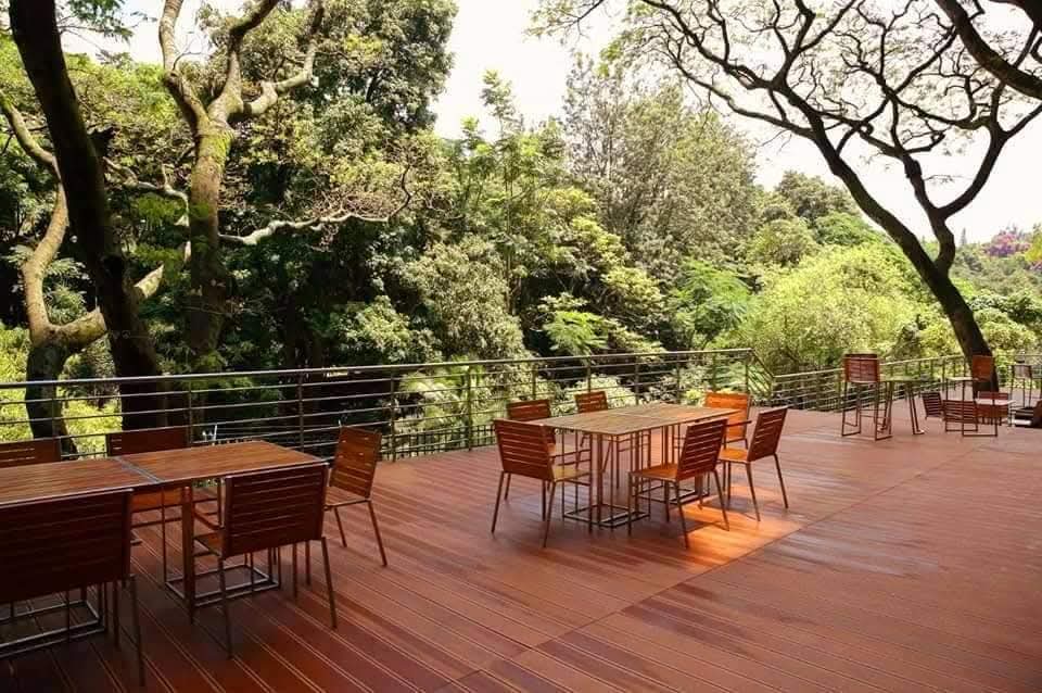 Modern 3 BR apartment to let with a forest view - Image 7