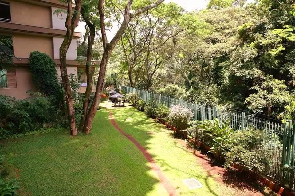 Modern 3 BR apartment to let with a forest view - Image 5